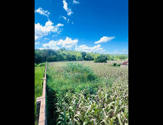 4,500M² VACANT LAND FOR SALE IN NGOVHELA